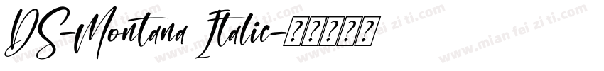DS-Montana Italic字体转换